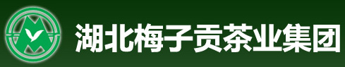 全自动金银花杀青烘干生产线在梅子贡正式投产