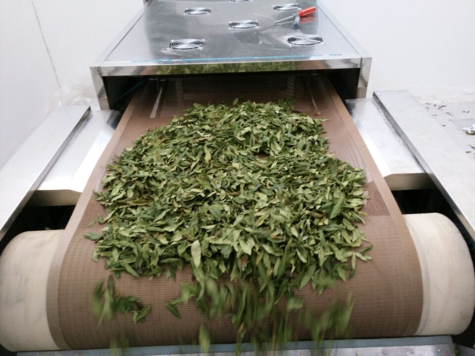 罗布麻茶微波杀菌机